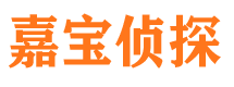 东河市侦探调查公司